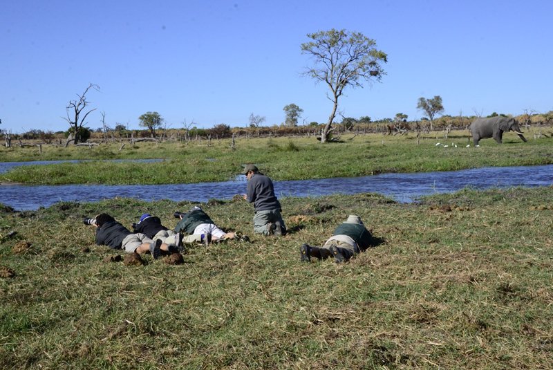 Wildlife photography on safari